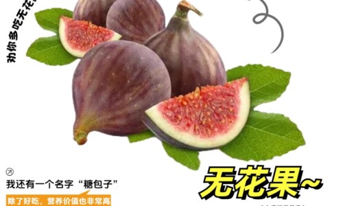 宝树堂宝肤灵的功效-宝树堂再造丸功效网 | 宝树堂药品好吗,宝树堂药业
