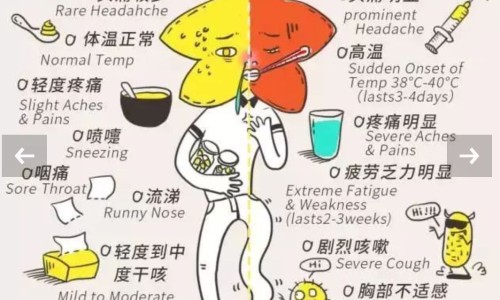 宝树堂药品好吗-宝树堂再造丸功效网 | 宝树堂药品好吗,宝树堂药业