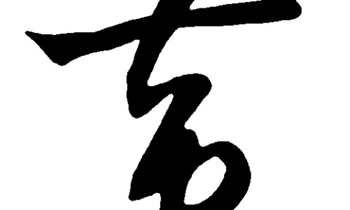 宝树堂再造丸功效网 | 宝树堂药品好吗,宝树堂药业