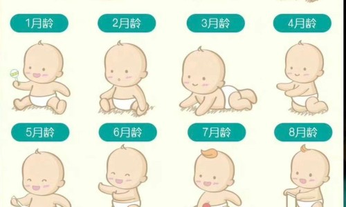 宝树堂药膏-宝树堂再造丸功效网 | 宝树堂药品好吗,宝树堂药业