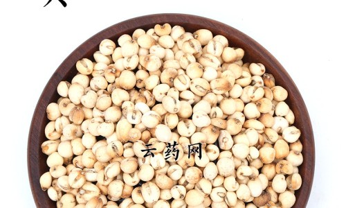 宝树堂再造丸功效网 | 宝树堂药品好吗,宝树堂药业